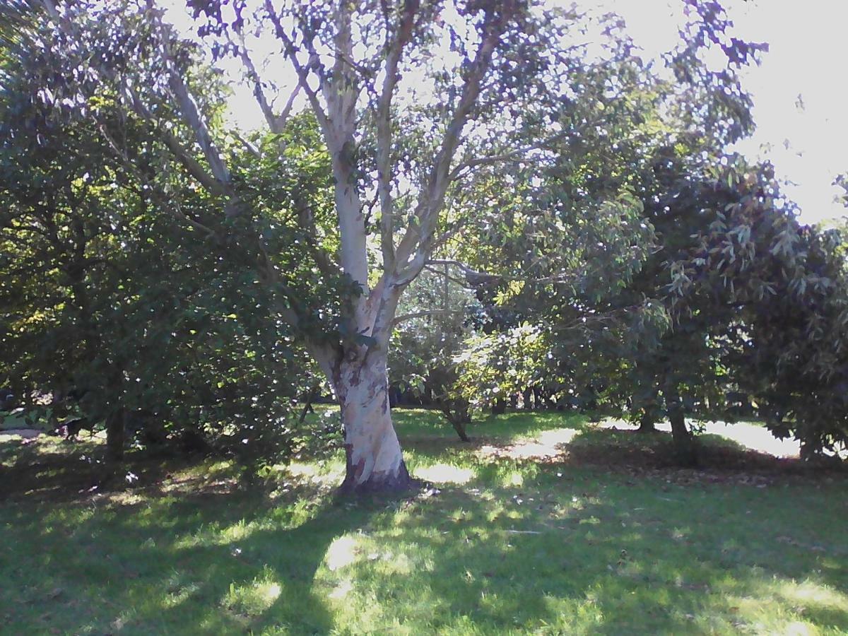 Gîte Lézardrieux Kerbors Esterno foto