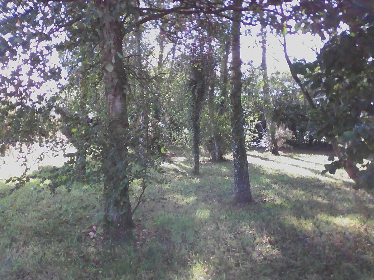 Gîte Lézardrieux Kerbors Esterno foto