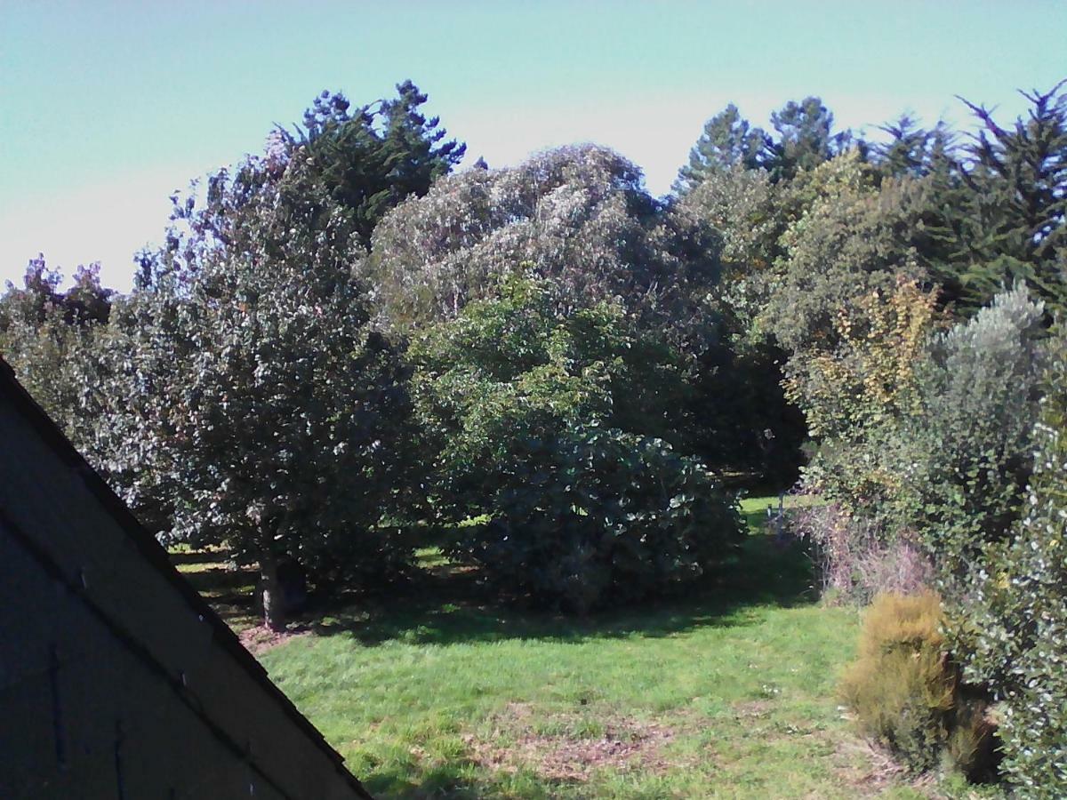 Gîte Lézardrieux Kerbors Esterno foto