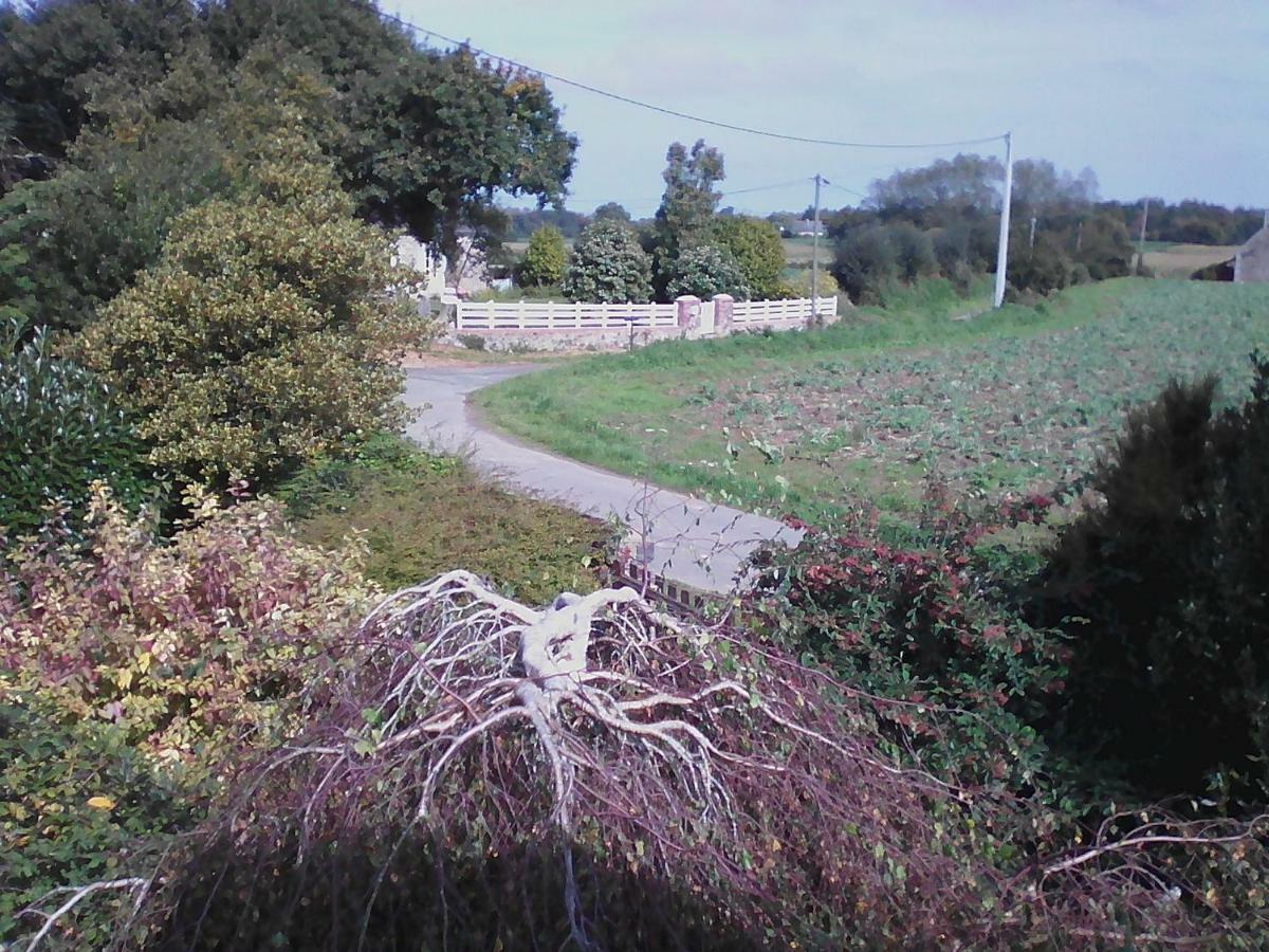 Gîte Lézardrieux Kerbors Esterno foto